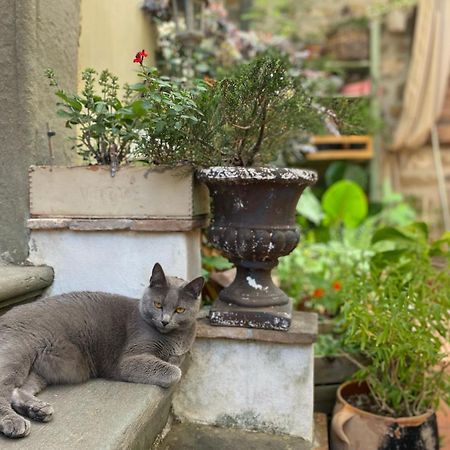 La Magione Dei Todaro 보르고 아 부기아노 외부 사진